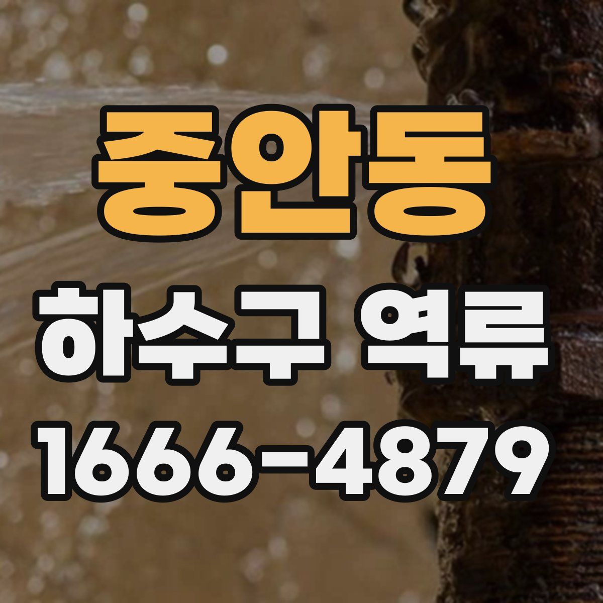 중안동 하수구 역류