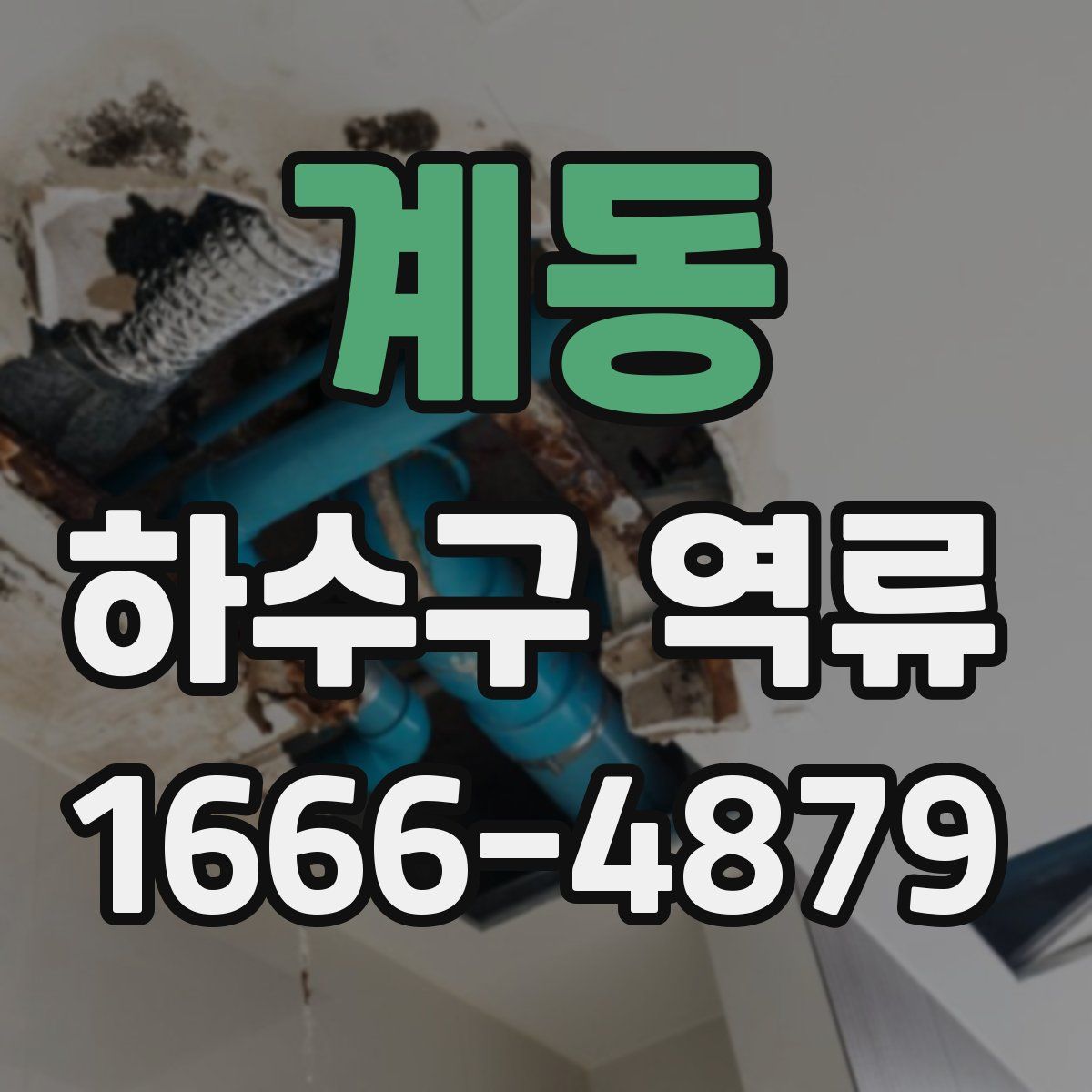 계동 하수구 역류
