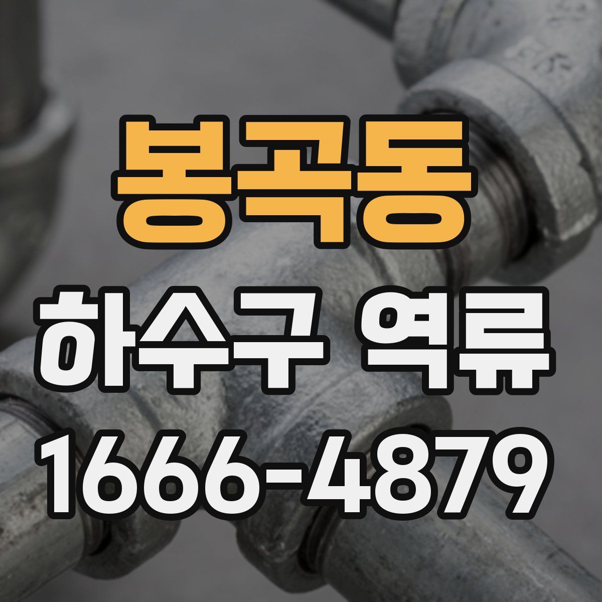 봉곡동 하수구 역류