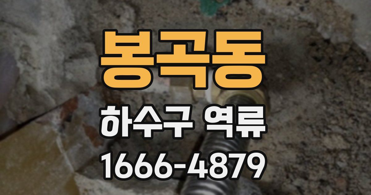 봉곡동 하수구 역류
