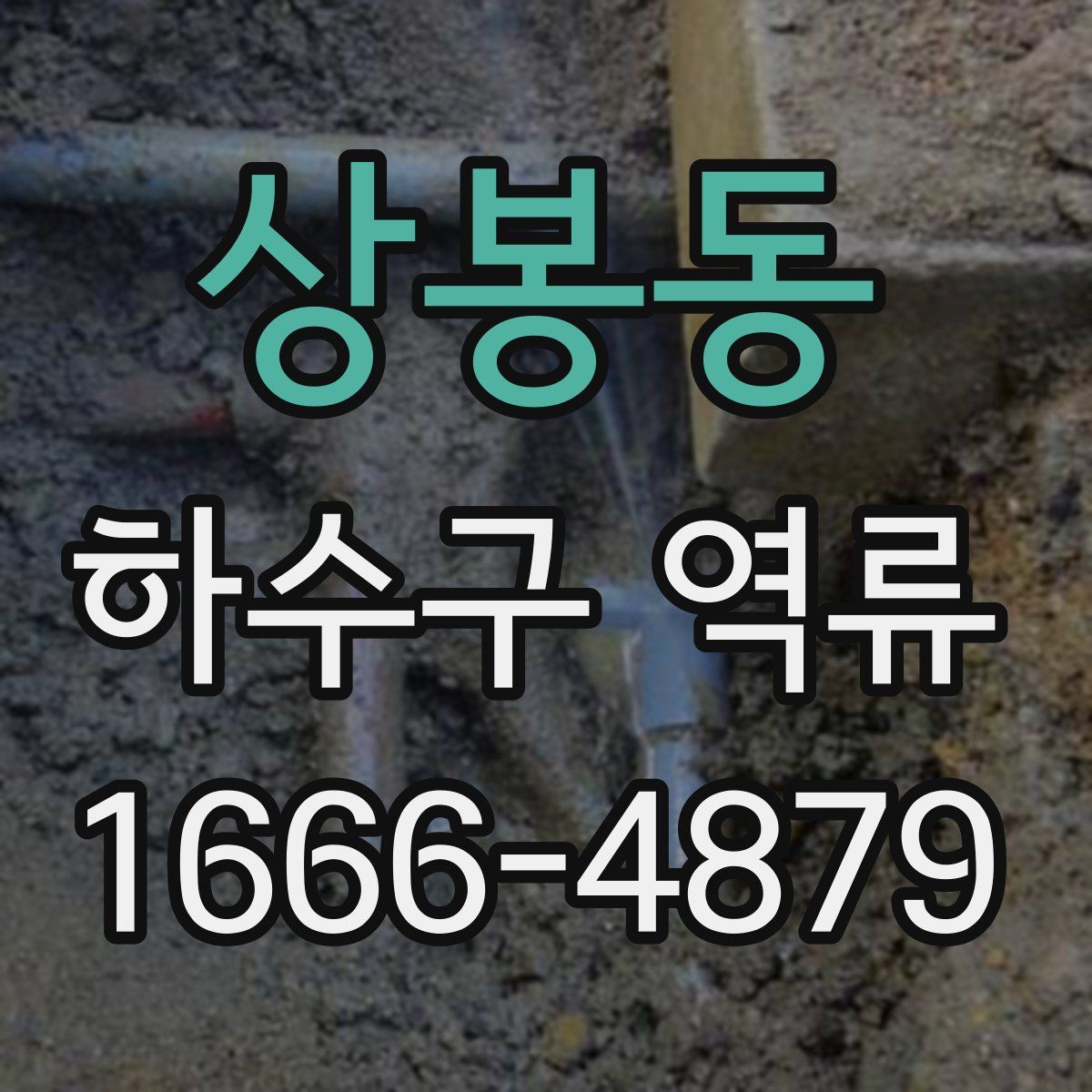 상봉동 하수구 역류