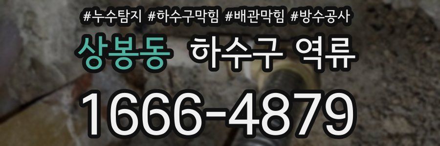 상봉동 하수구 역류