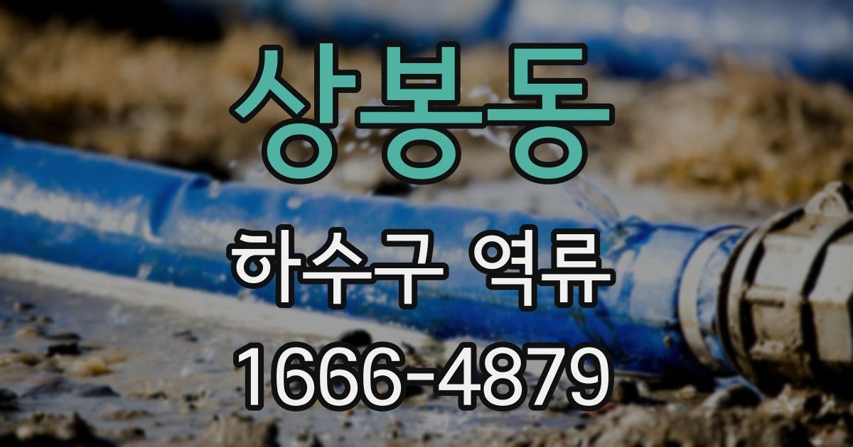 상봉동 하수구 역류