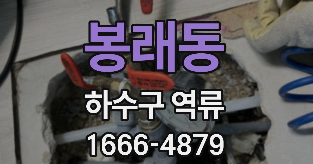 봉래동 하수구 역류