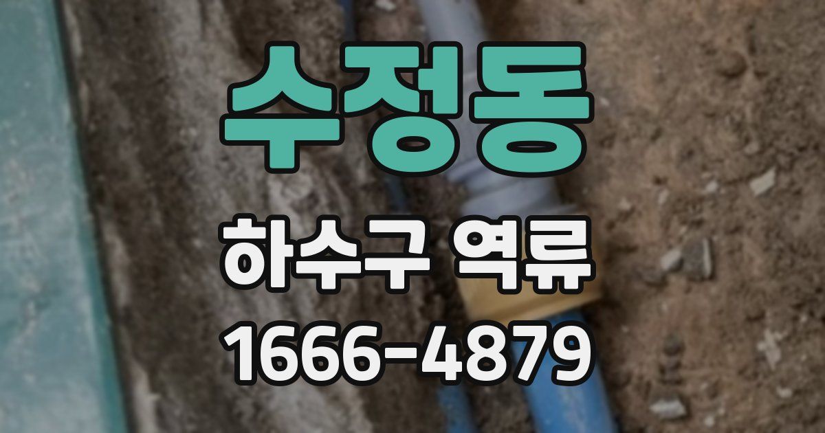 수정동 하수구 역류