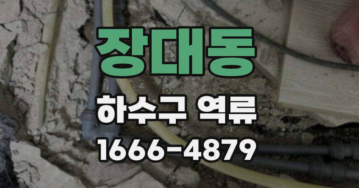 장대동 하수구 역류
