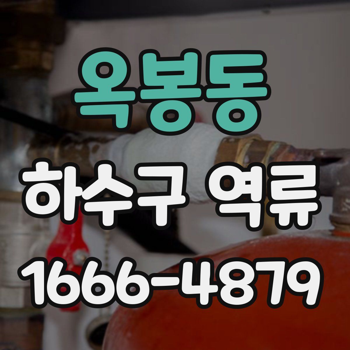 옥봉동 하수구 역류