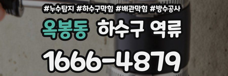 옥봉동 하수구 역류
