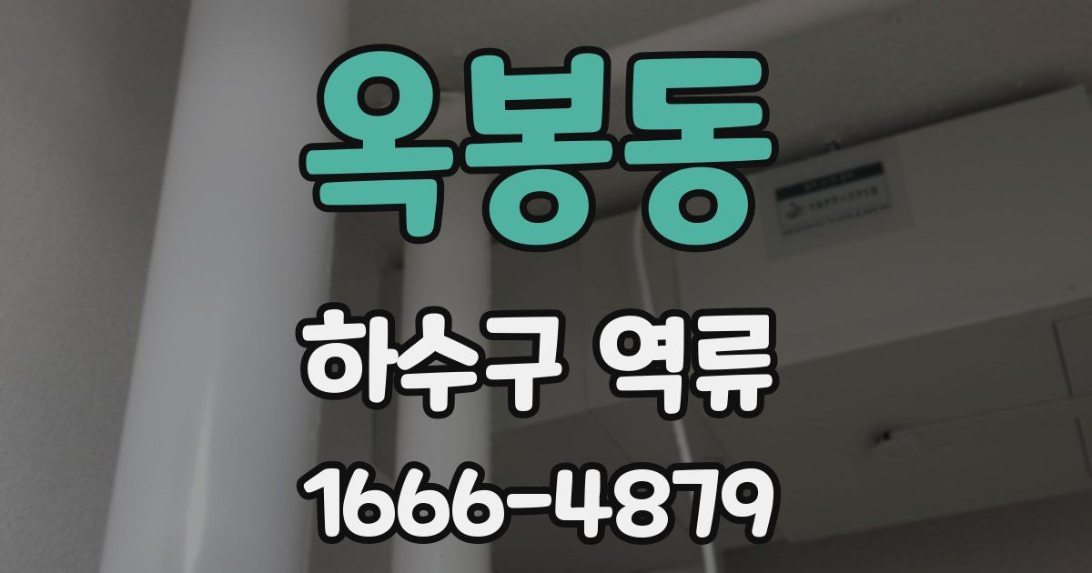 옥봉동 하수구 역류