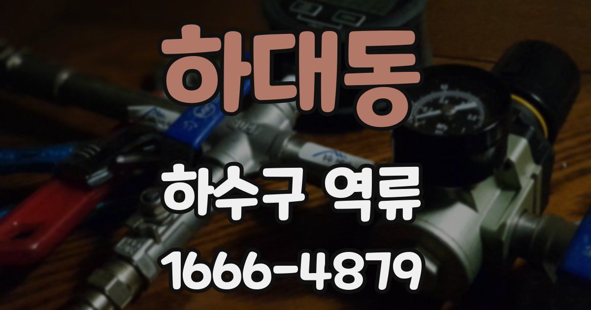 하대동 하수구 역류