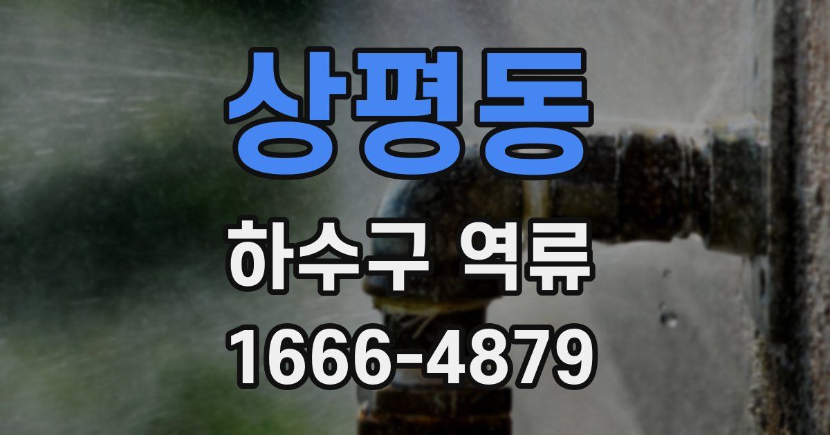 상평동 하수구 역류