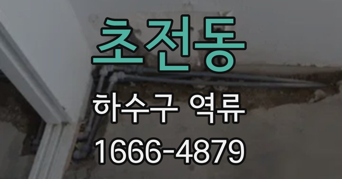 초전동 하수구 역류
