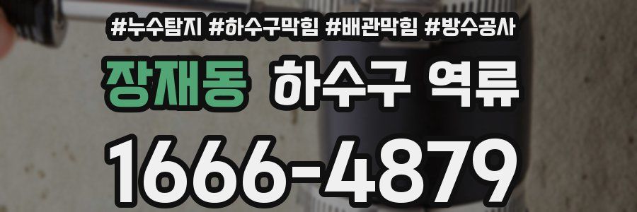 장재동 하수구 역류