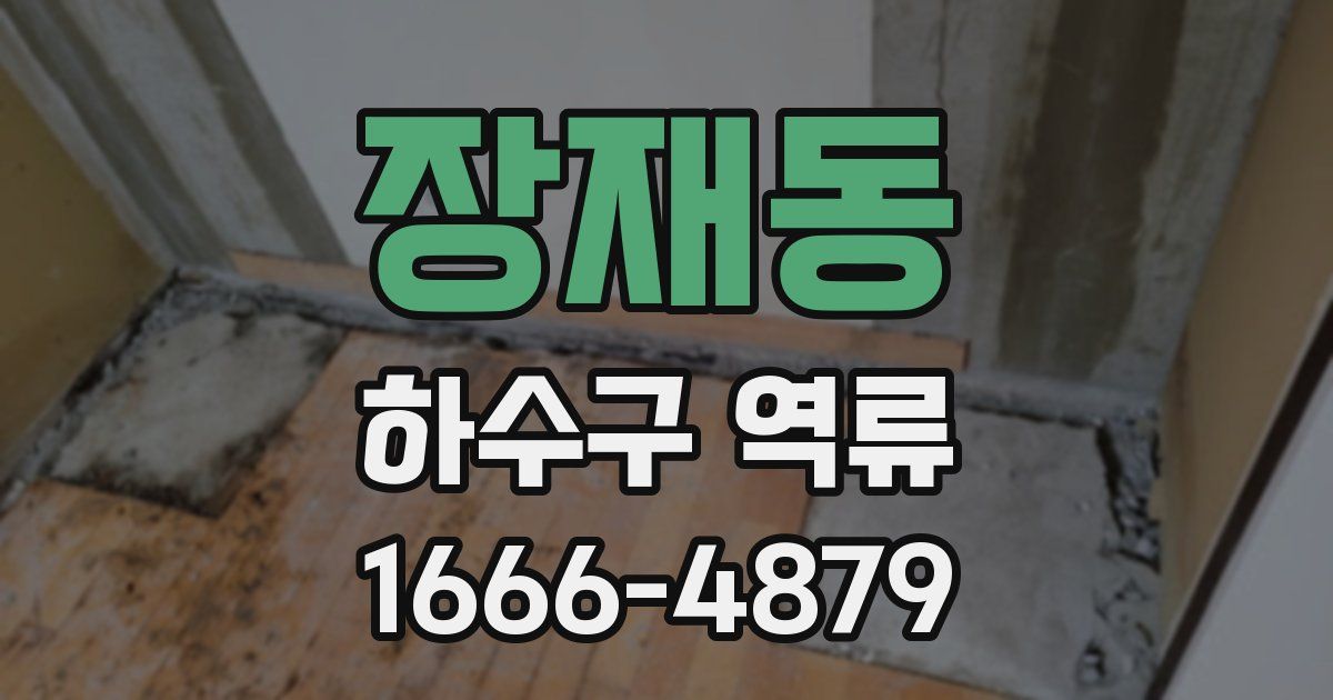장재동 하수구 역류