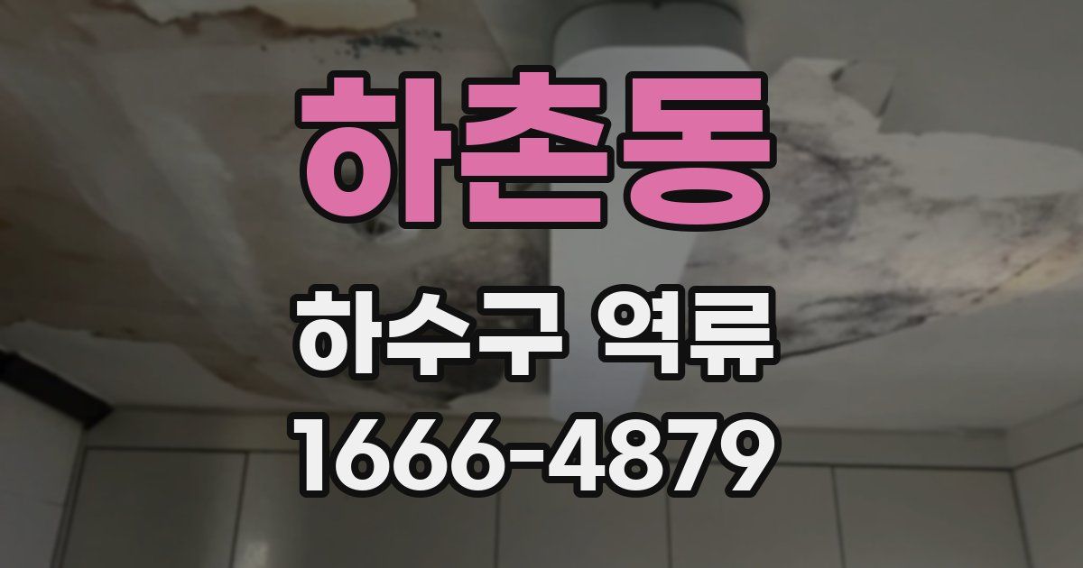 하촌동 하수구 역류