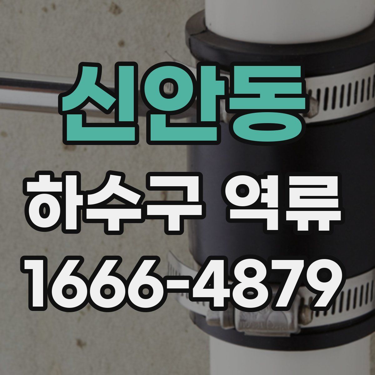 신안동 하수구 역류