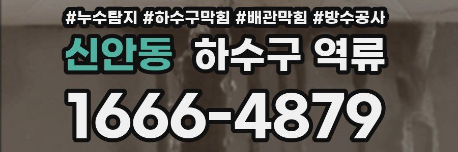 신안동 하수구 역류