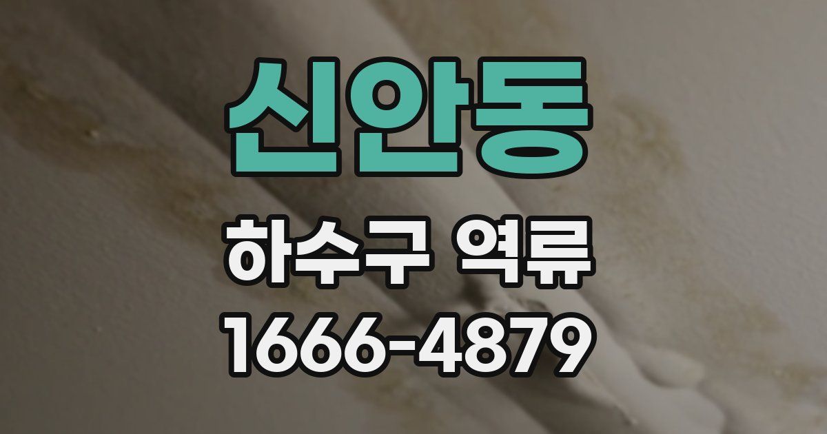 신안동 하수구 역류
