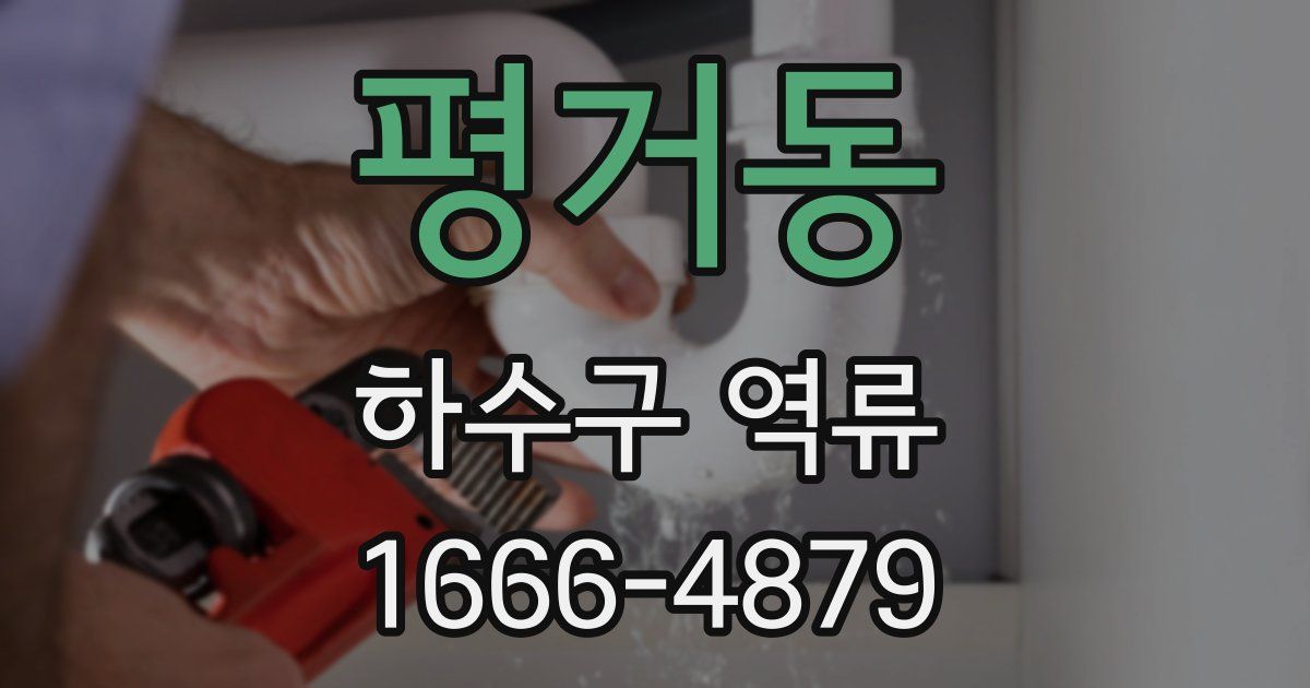 평거동 하수구 역류