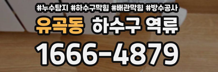 유곡동 하수구 역류