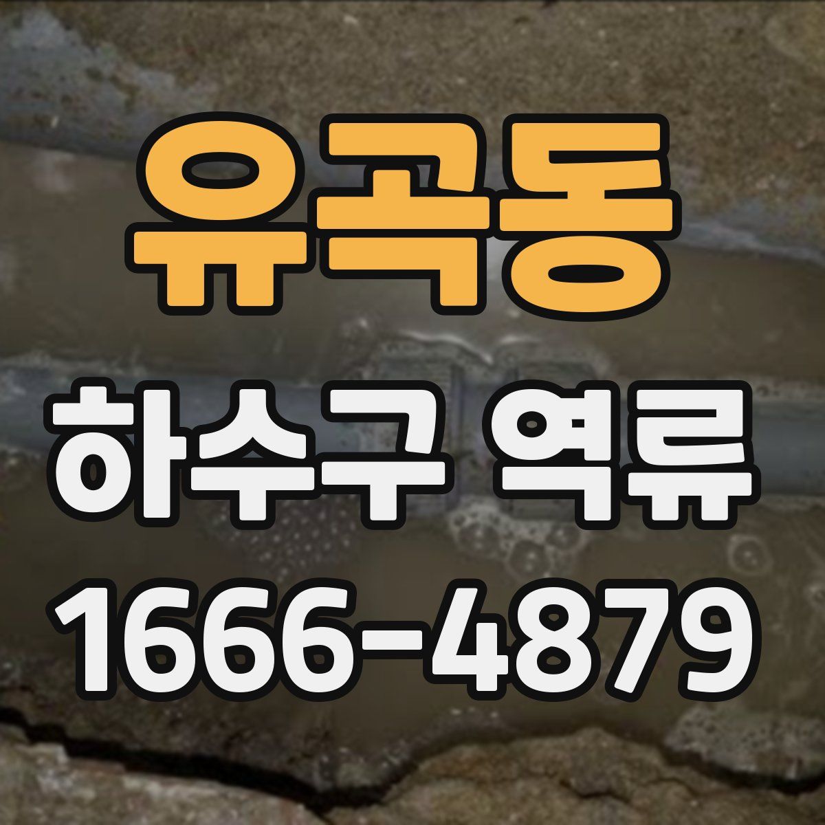 유곡동 하수구 역류