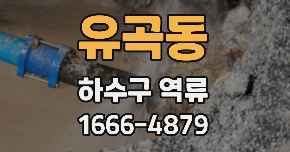 유곡동 하수구 역류