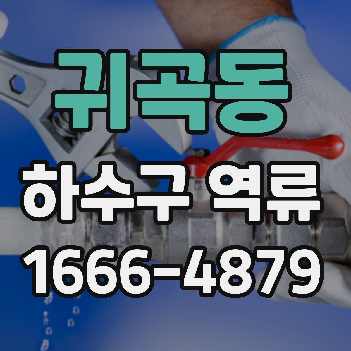 귀곡동 하수구 역류