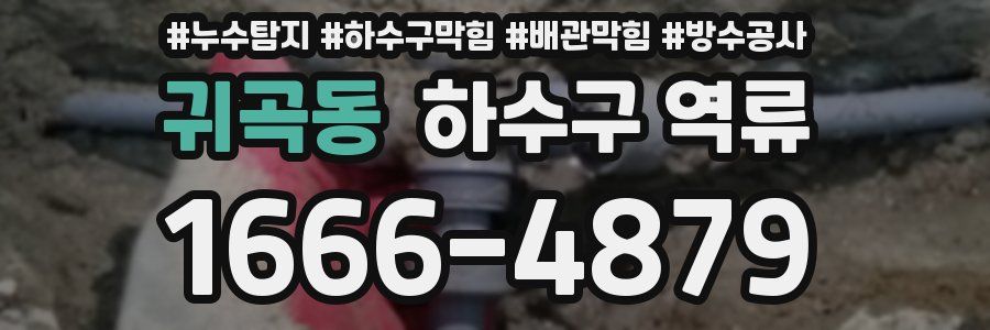귀곡동 하수구 역류