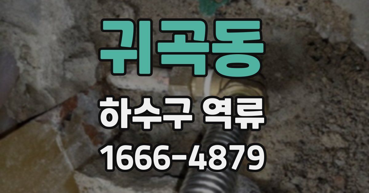 귀곡동 하수구 역류
