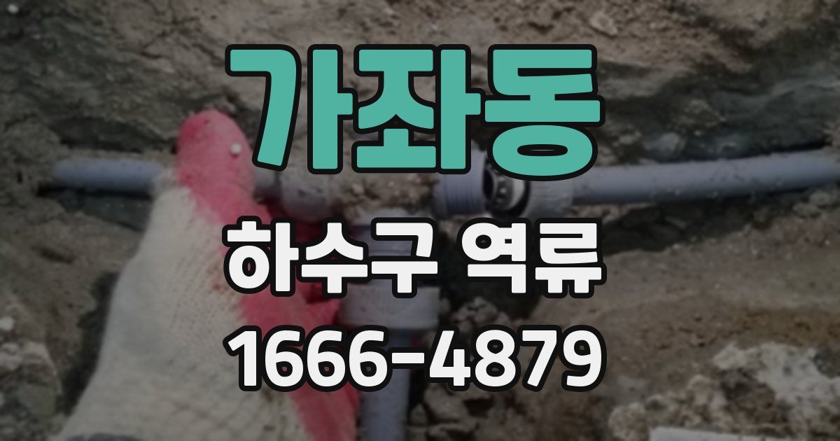 가좌동 하수구 역류