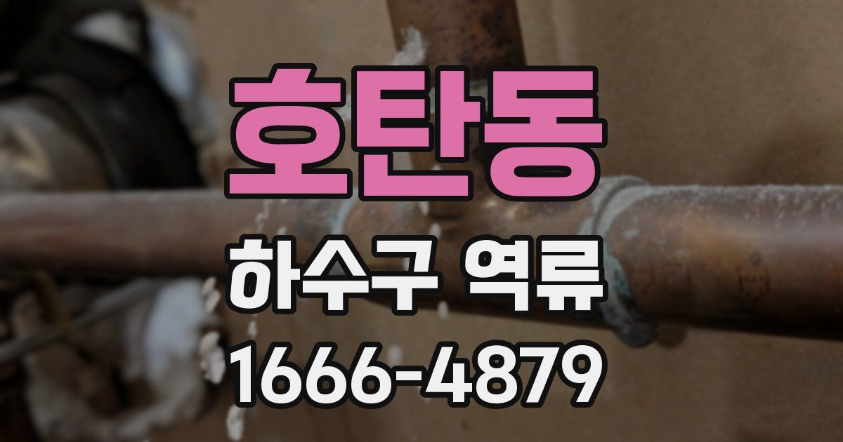 호탄동 하수구 역류