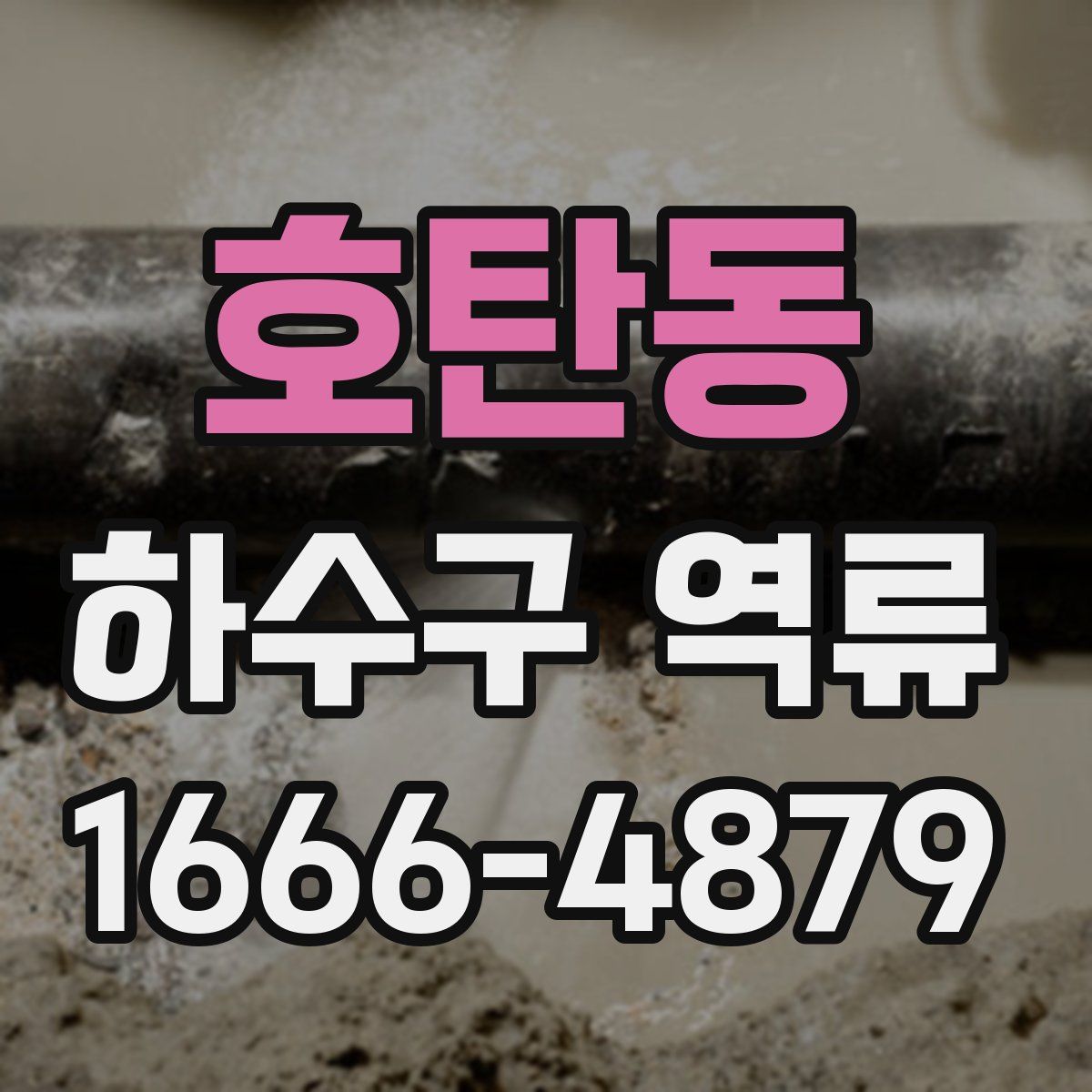 호탄동 하수구 역류