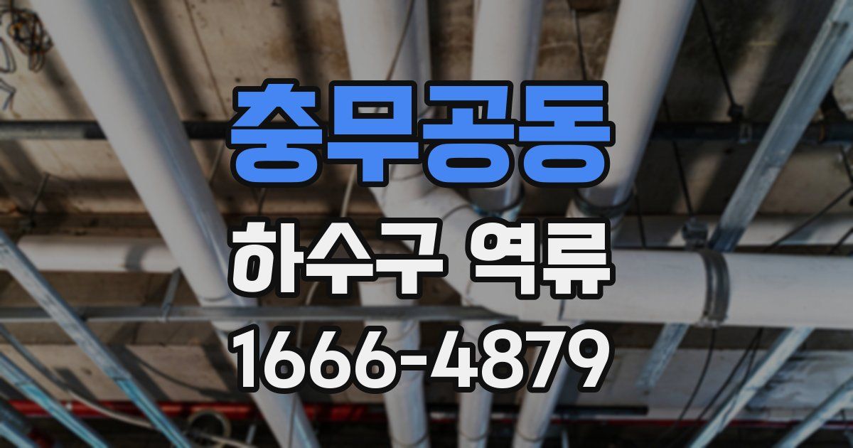 충무공동 하수구 역류