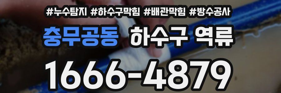 충무공동 하수구 역류