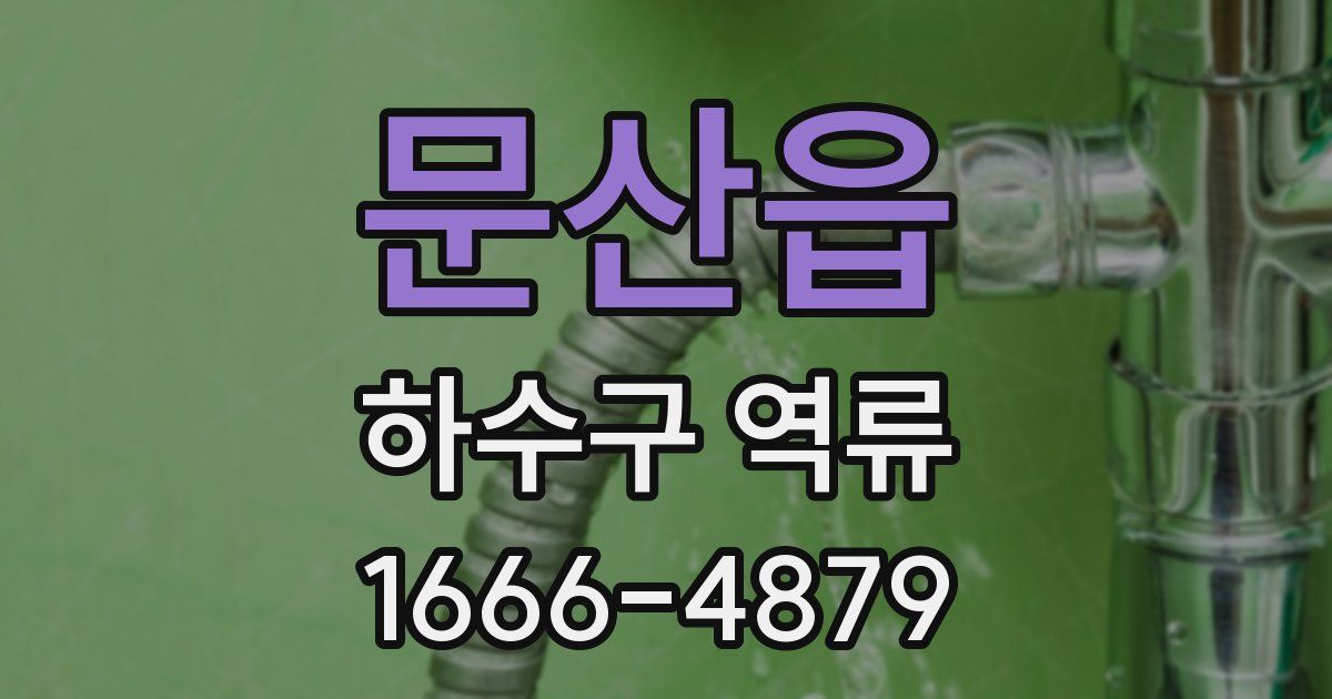 문산읍 하수구 역류