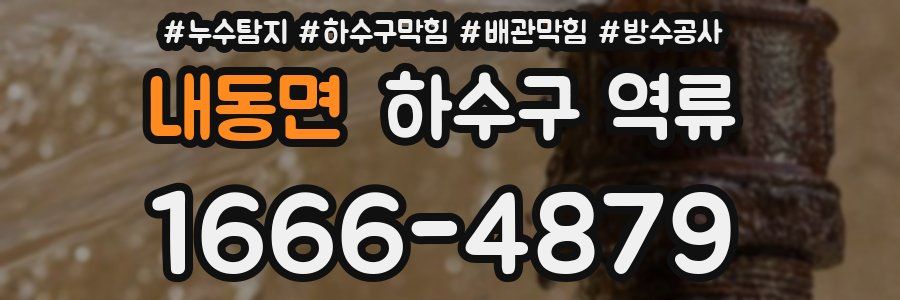 내동면 하수구 역류