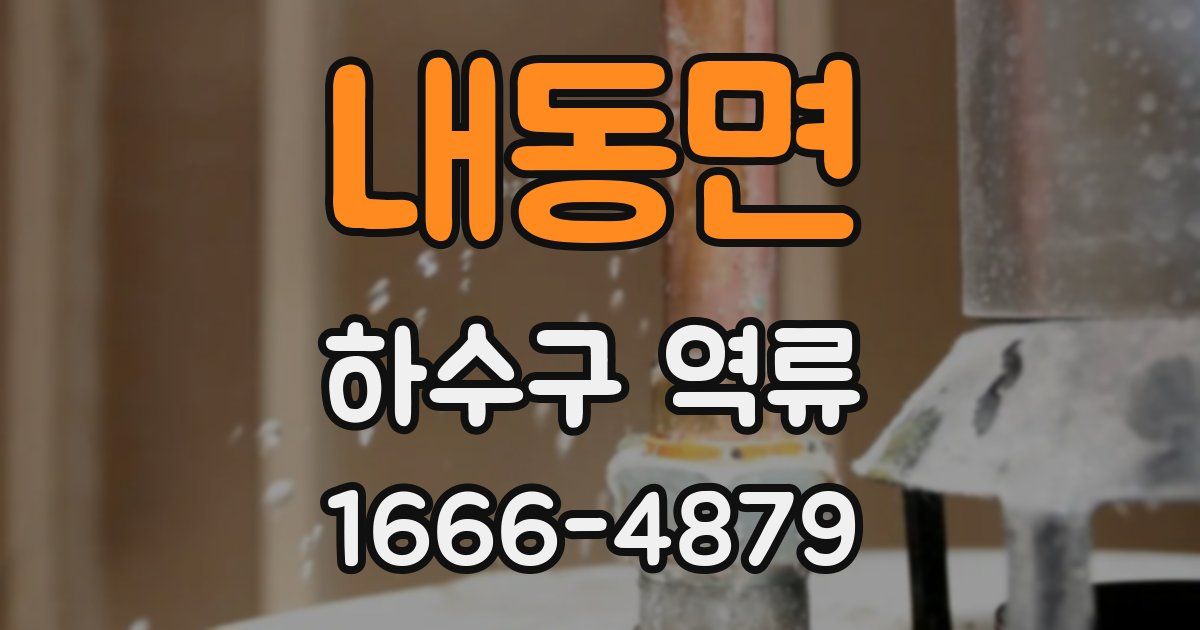 내동면 하수구 역류