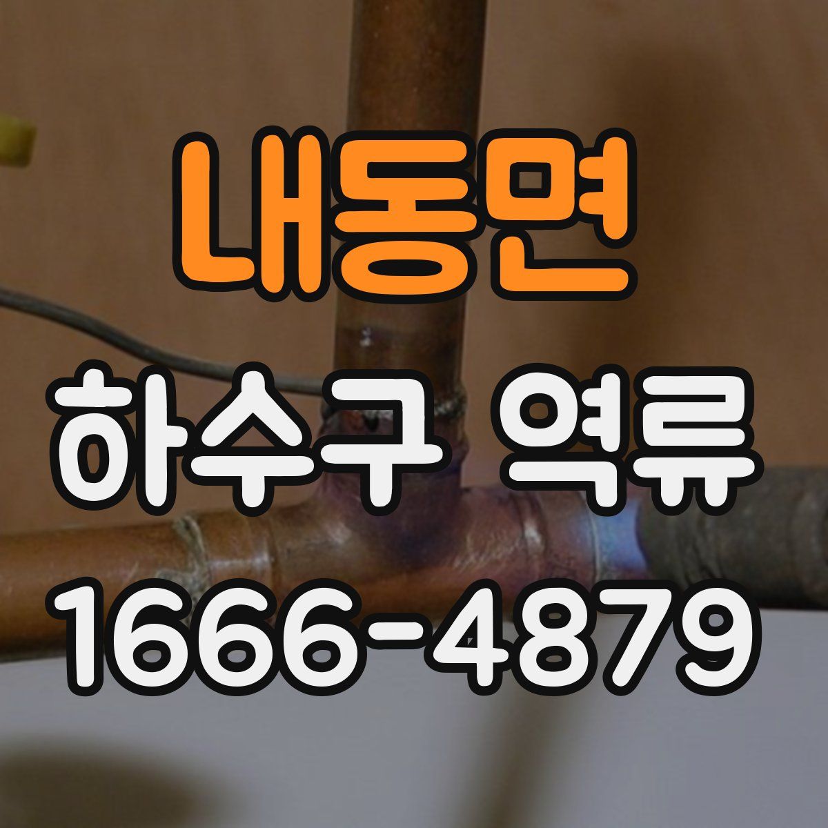 내동면 하수구 역류