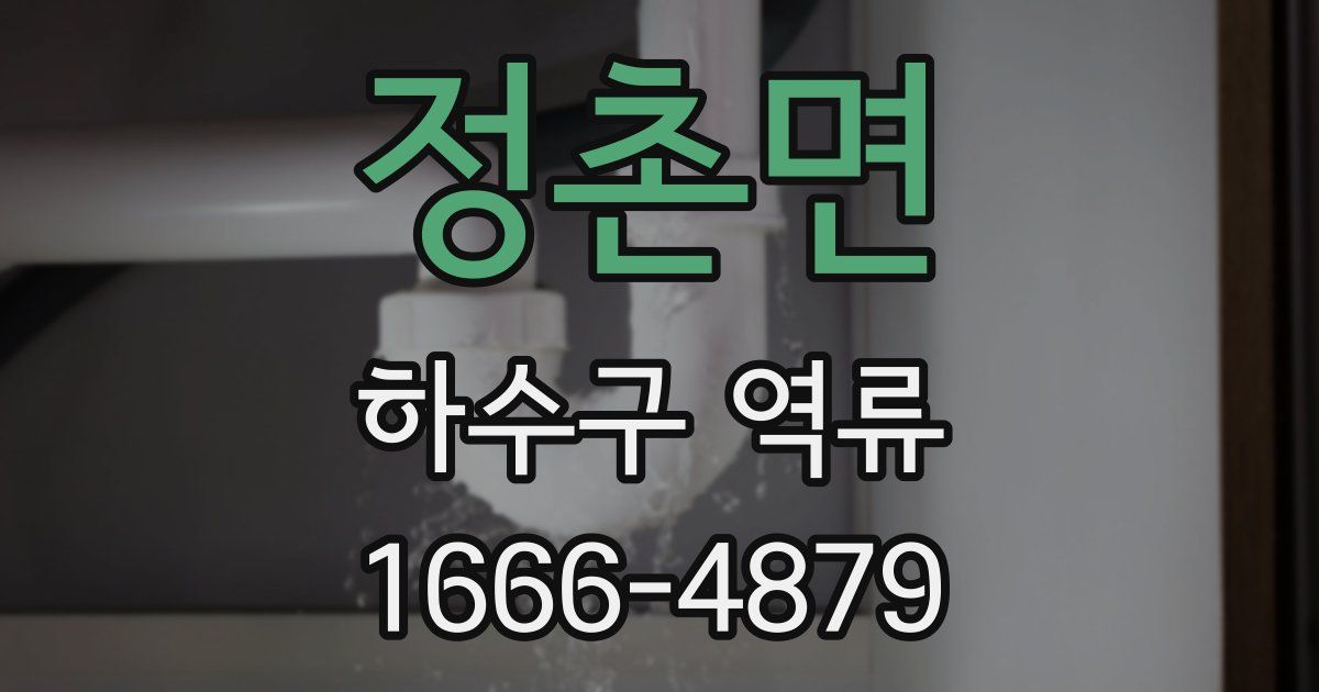 정촌면 하수구 역류