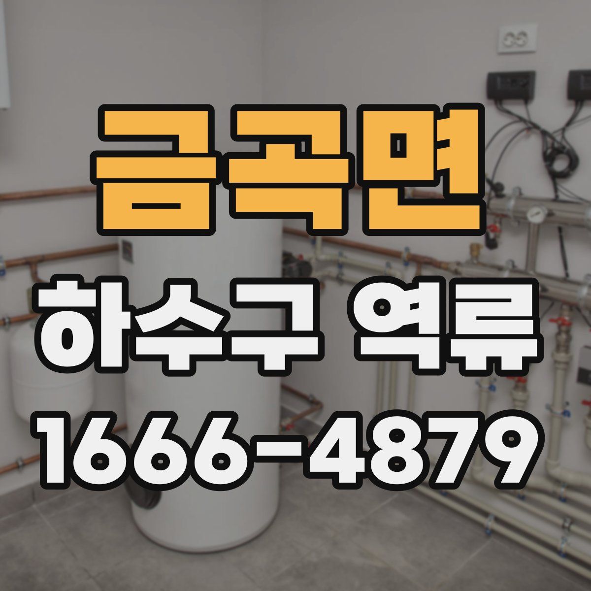금곡면 하수구 역류