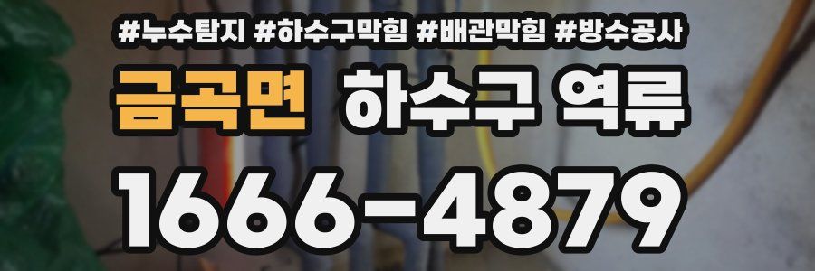 금곡면 하수구 역류