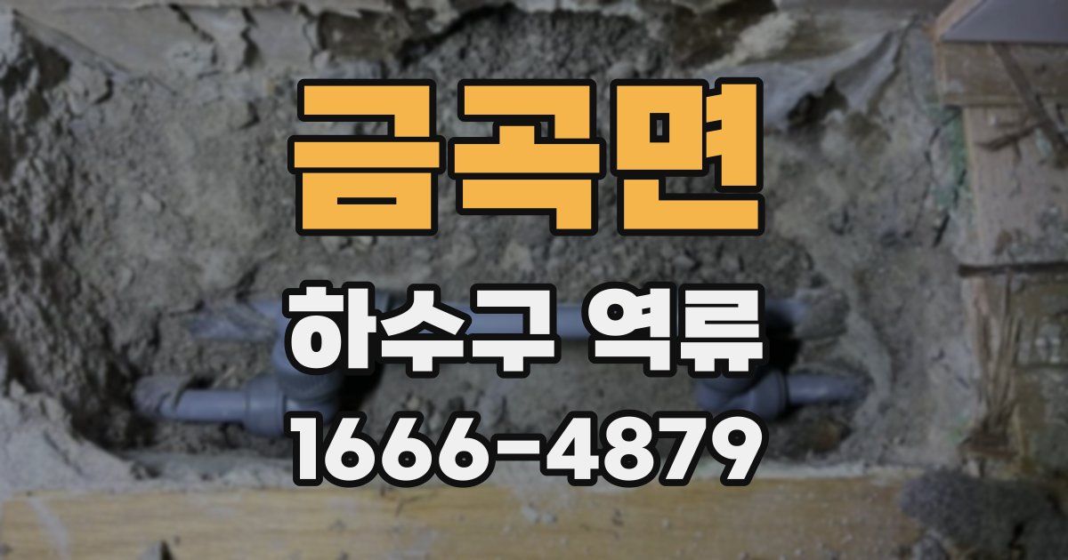 금곡면 하수구 역류