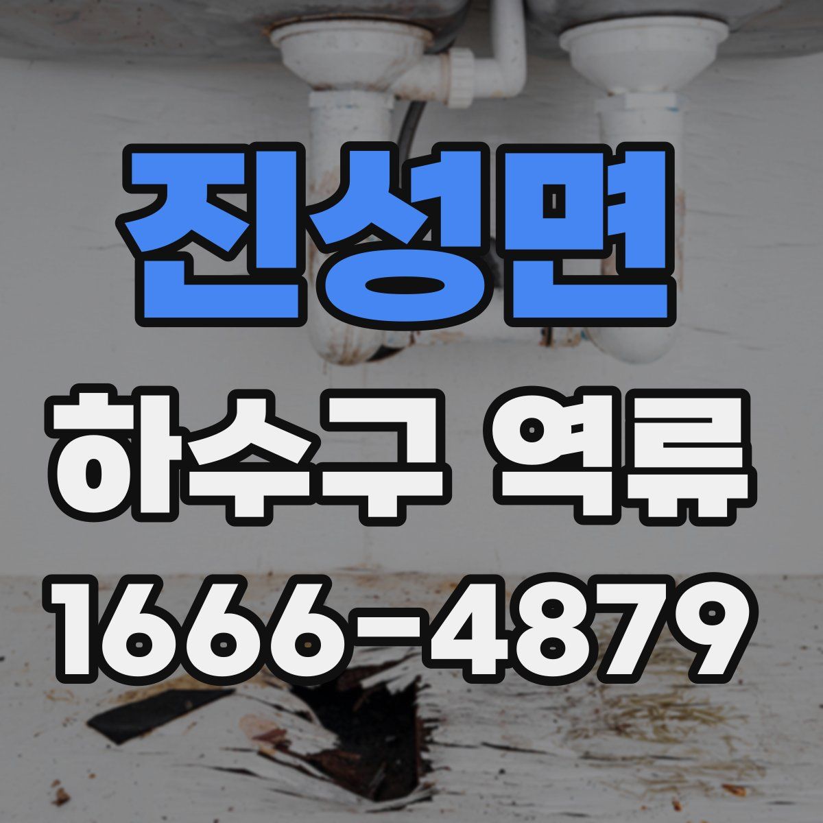진성면 하수구 역류