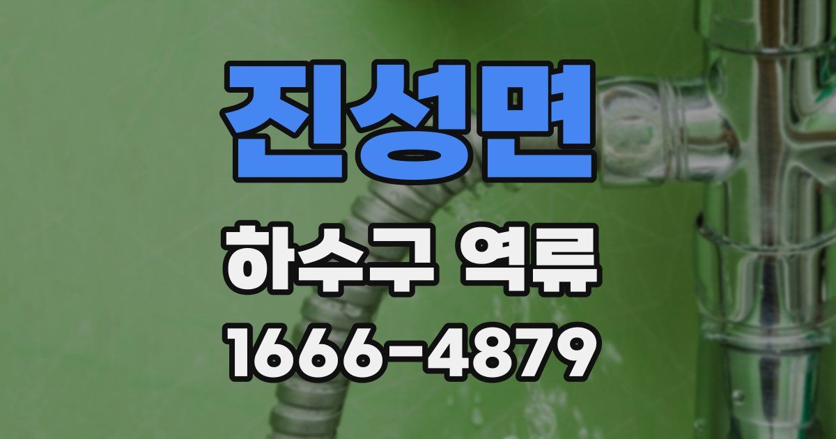진성면 하수구 역류