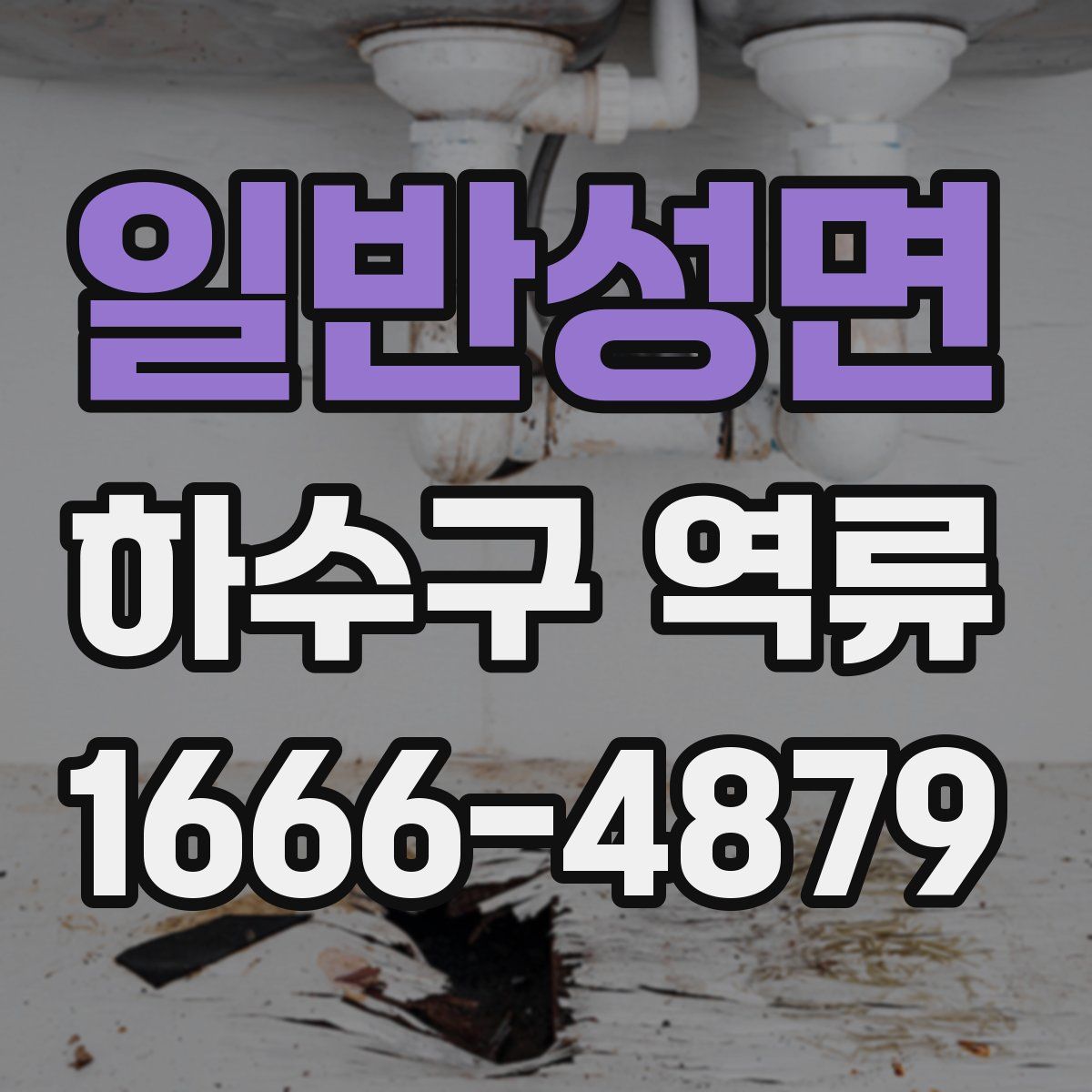 일반성면 하수구 역류