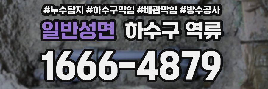 일반성면 하수구 역류