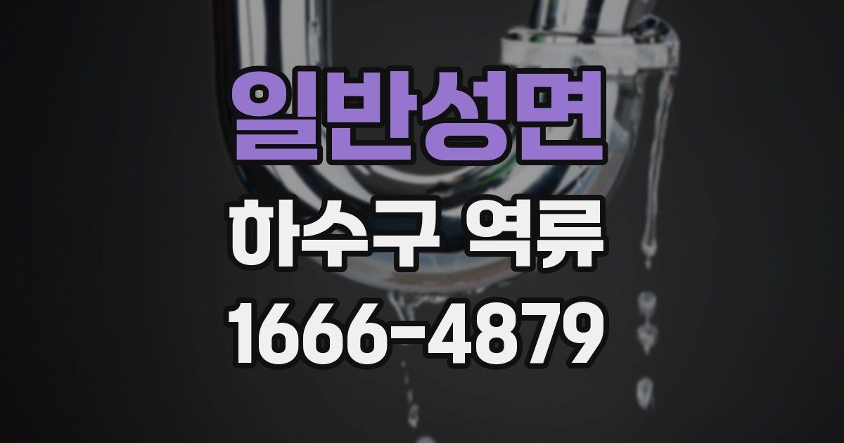 일반성면 하수구 역류