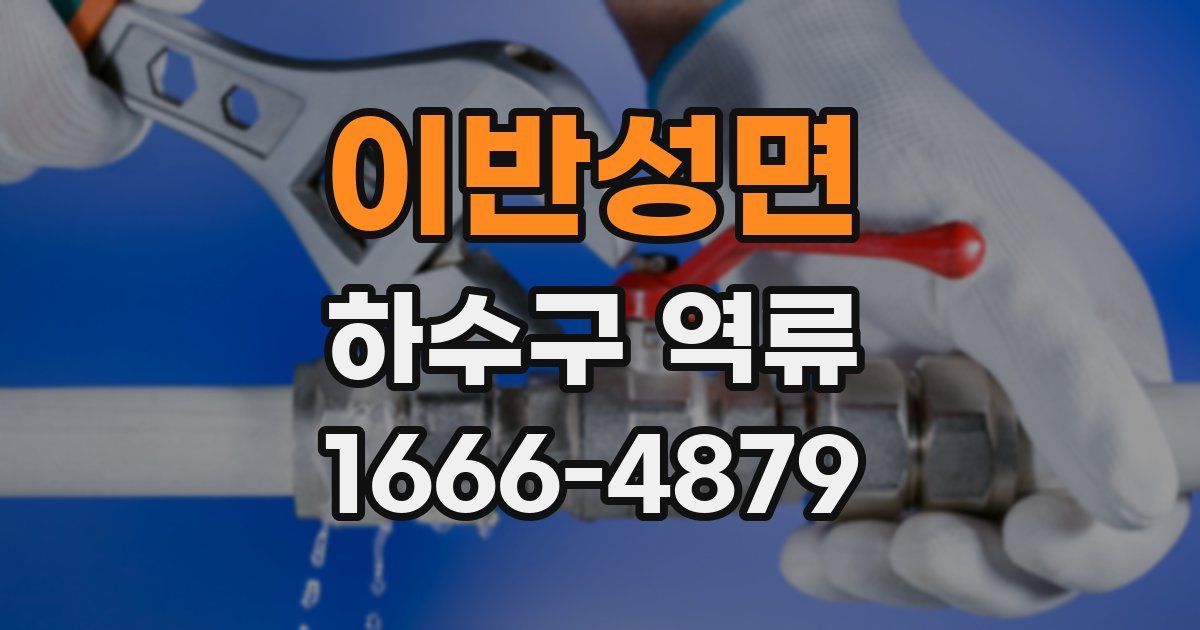 이반성면 하수구 역류