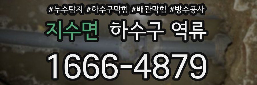 지수면 하수구 역류