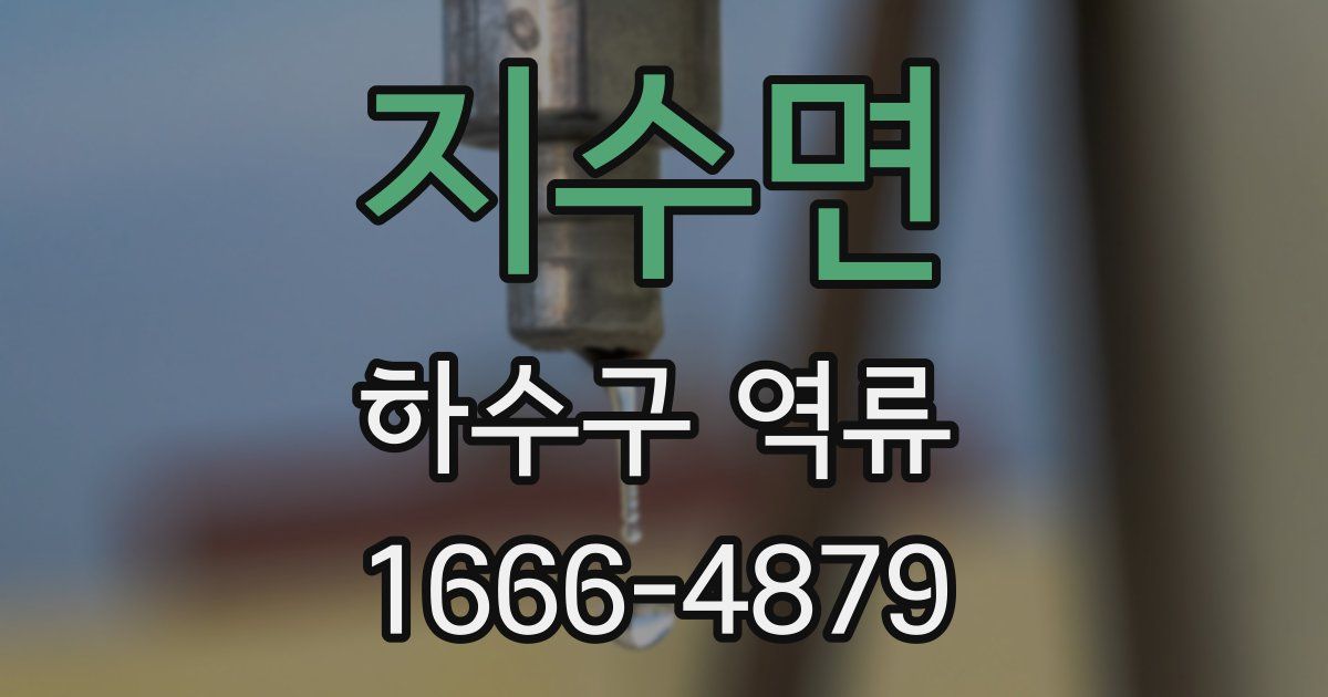 지수면 하수구 역류